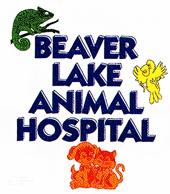 Beaver Lake Animal Hospital | Baldwinsville, NY